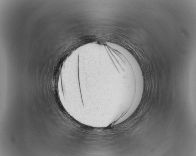 X0000111390613200908211403