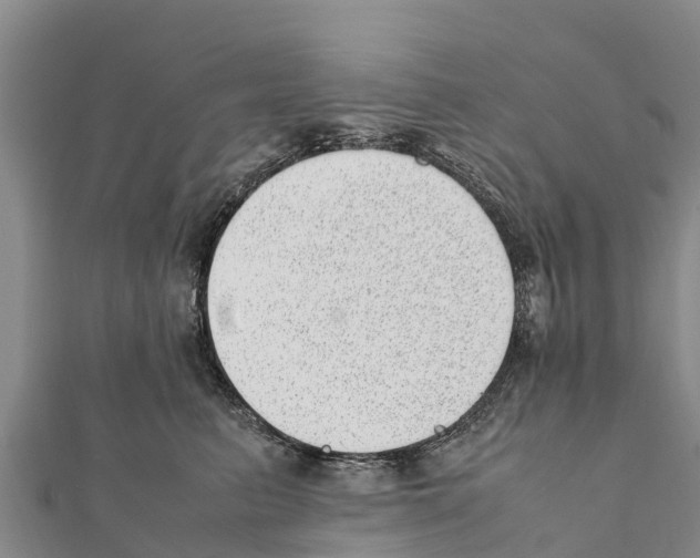 X0000111390615200908211403