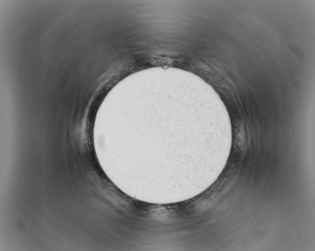 X0000111390616200908211403