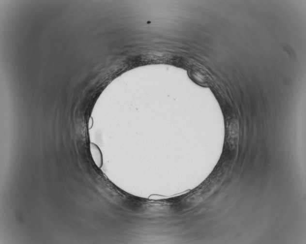 X0000111390617200908211403