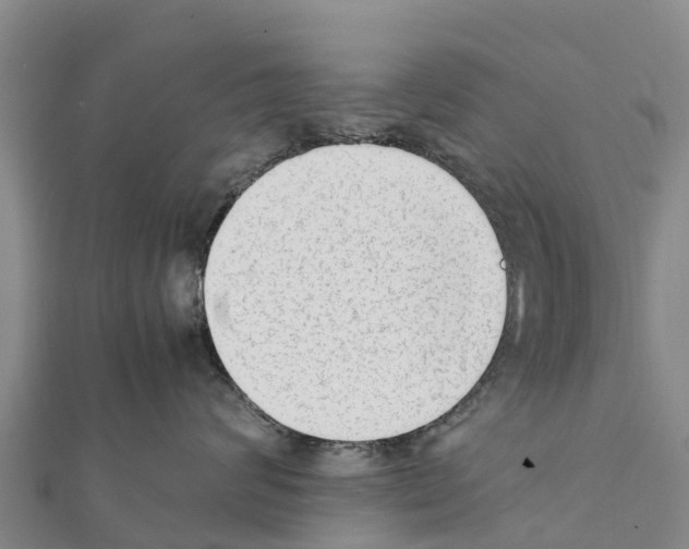 X0000111390624200908211403
