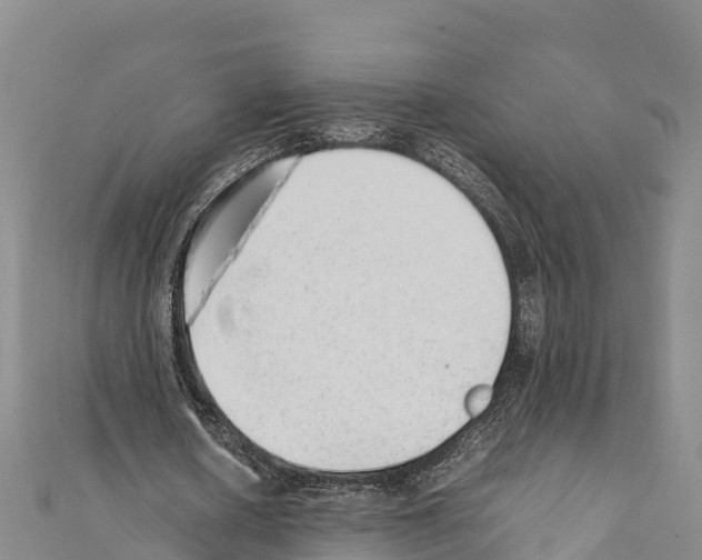 X0000111390626200908211402