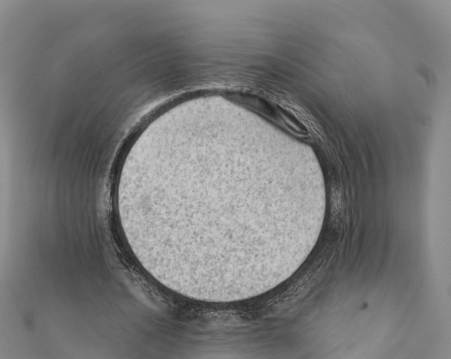 X0000111390628200908211402