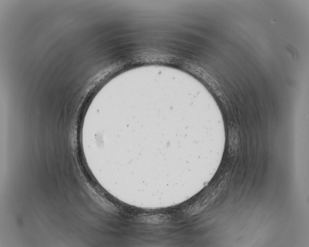 X0000111390629200908211402