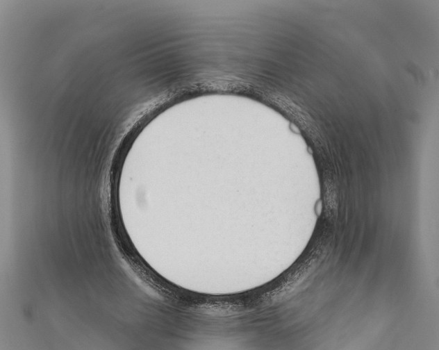 X0000111390630200908211402