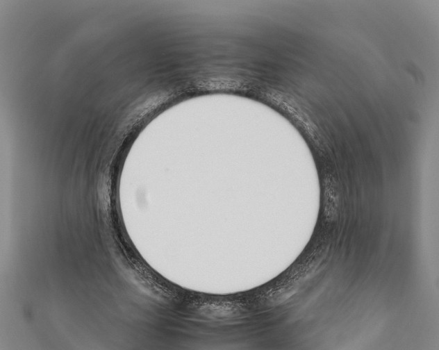 X0000111390631200908211402