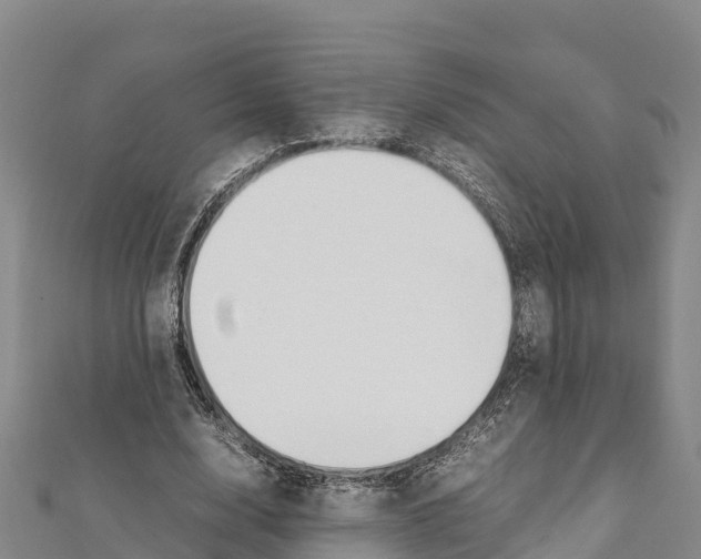 X0000111390632200908211402