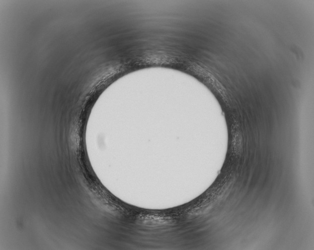 X0000111390635200908211402