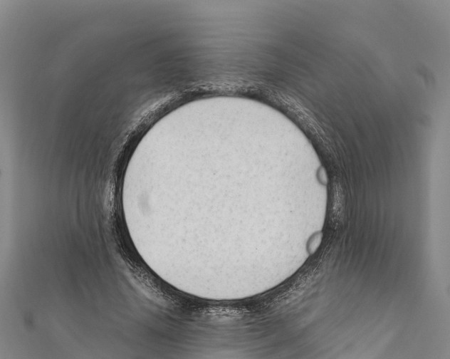 X0000111390636200908211402