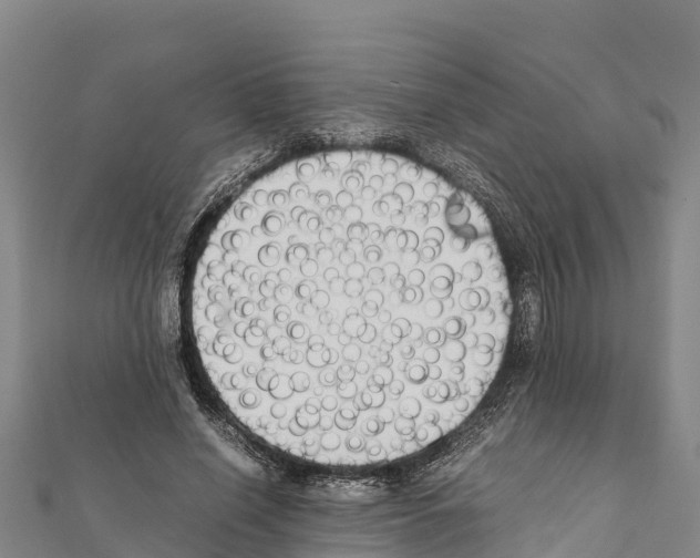 X0000111390638200908211402