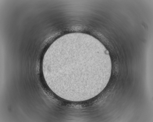 X0000111390640200908211402