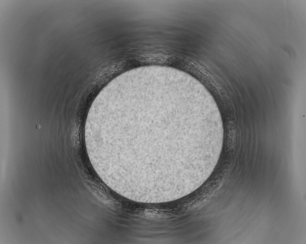 X0000111390641200908211402