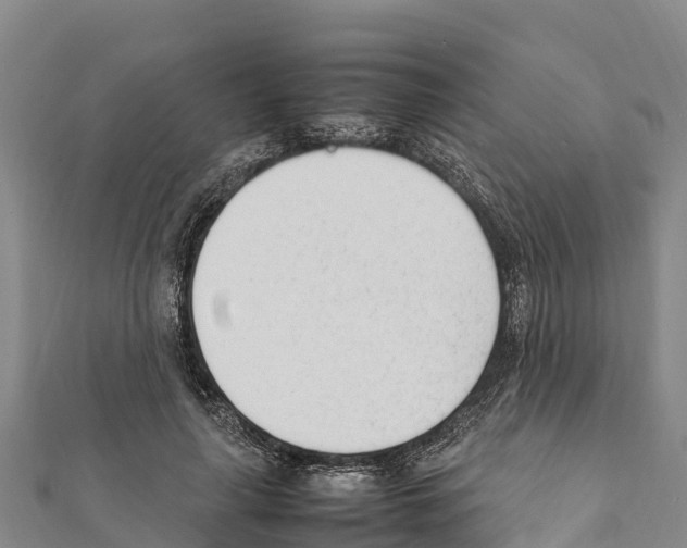X0000111390643200908211402