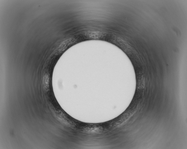 X0000111390646200908211403