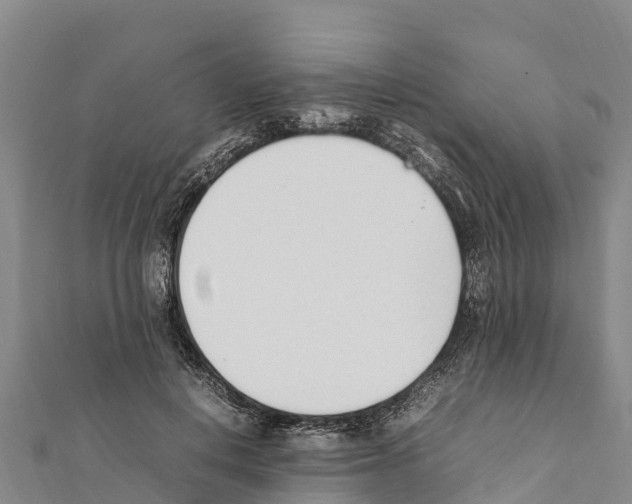 X0000111390648200908211403