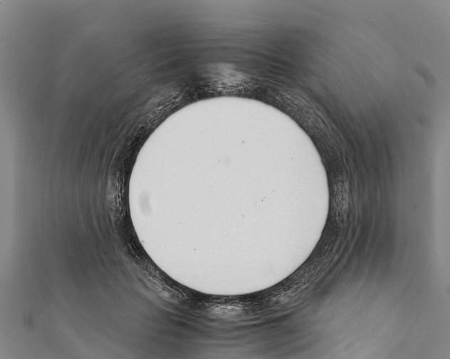 X0000111390653200908211403