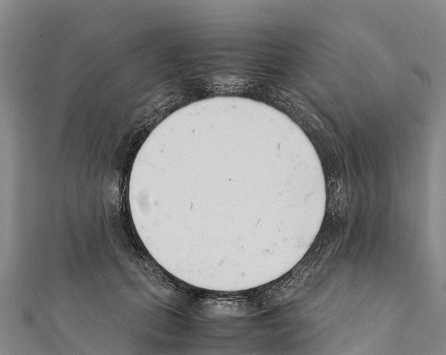 X0000111390655200908211403