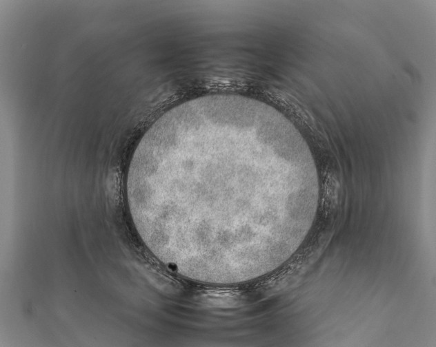 X0000111390659200908211403
