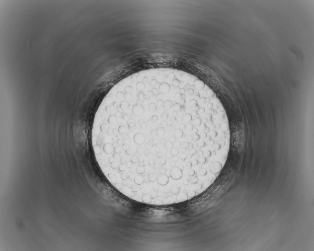 X0000111390662200908211403