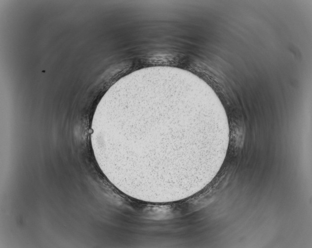 X0000111390665200908211403