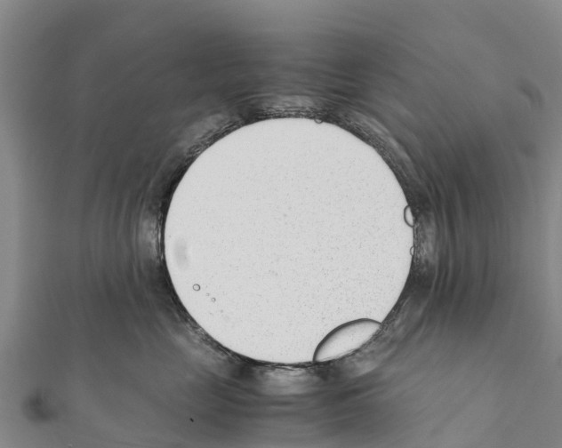 X0000111390669200908211403