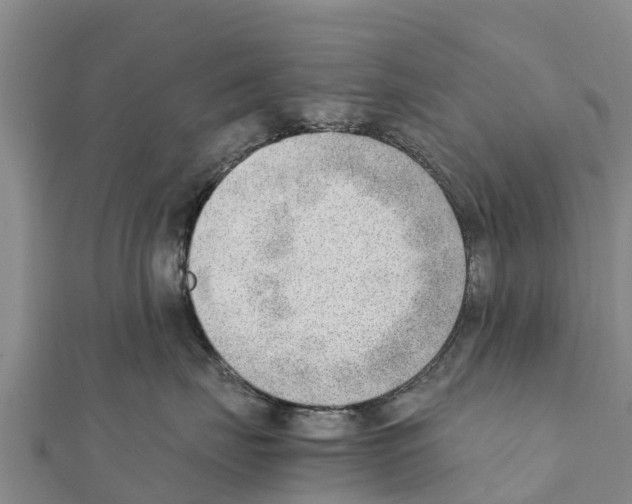 X0000111390671200908211403