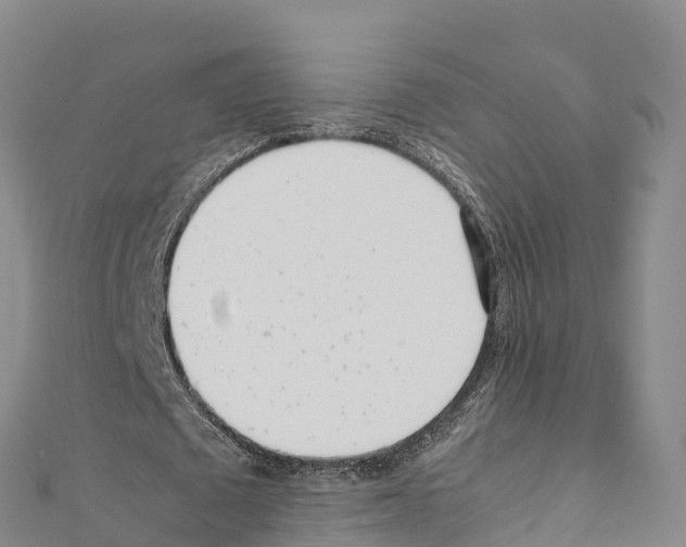 X0000111390673200908211402