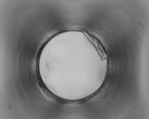 X0000111390674200908211402