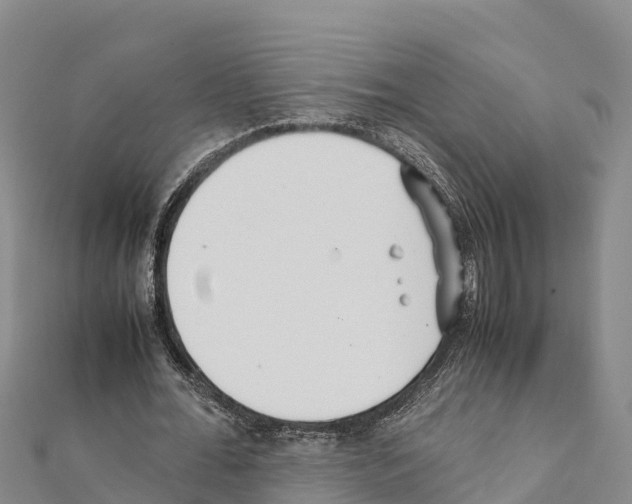 X0000111390676200908211402