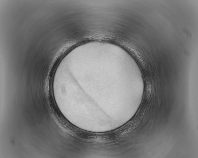 X0000111390678200908211402
