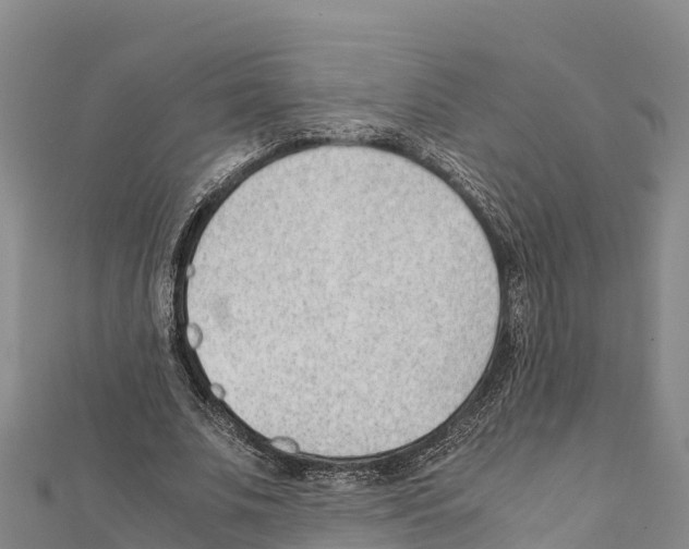 X0000111390679200908211402