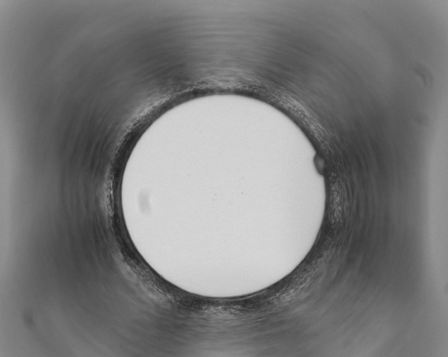 X0000111390680200908211402