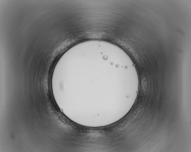X0000111390682200908211402
