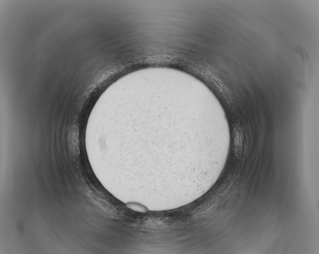 X0000111390684200908211402