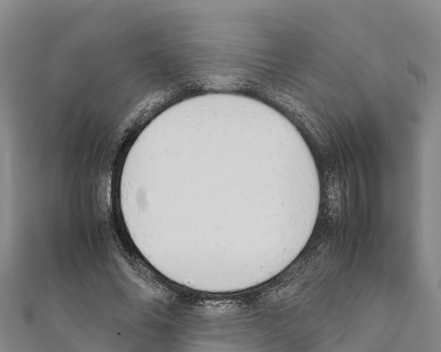 X0000111390686200908211402