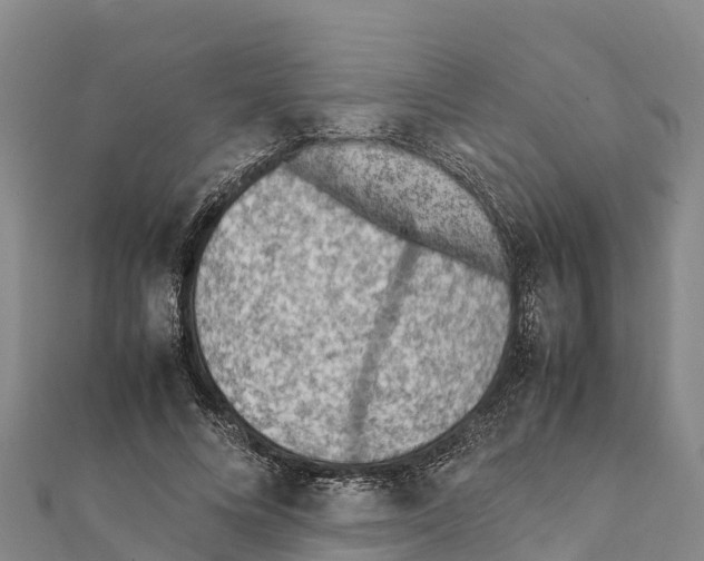X0000111390688200908211402