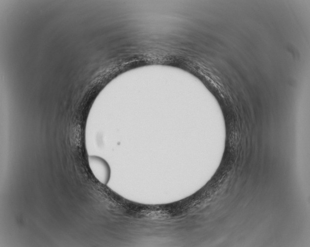 X0000111390689200908211402