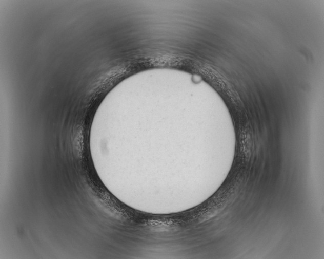 X0000111390690200908211402