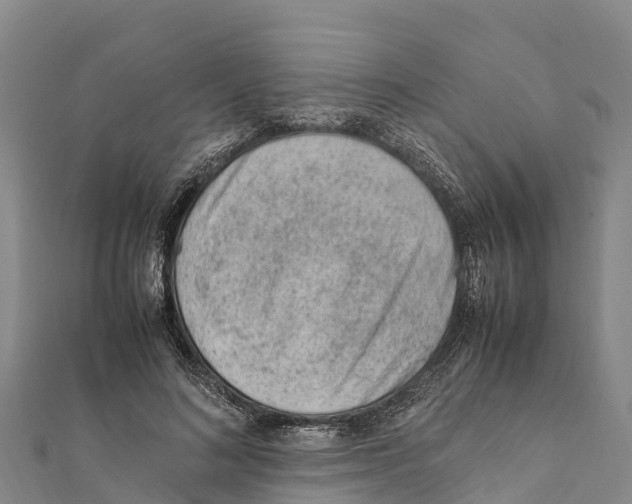 X0000111390692200908211402