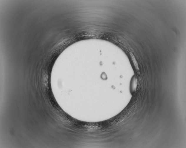 X0000111390693200908211402