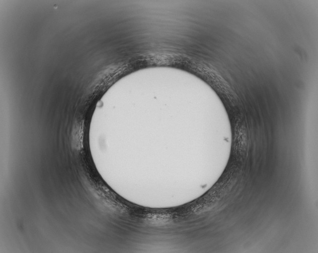 X0000111390694200908211402