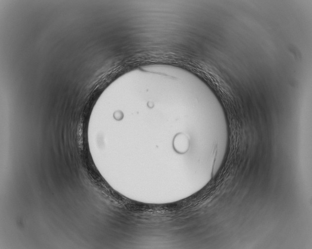 X0000111390696200908211402