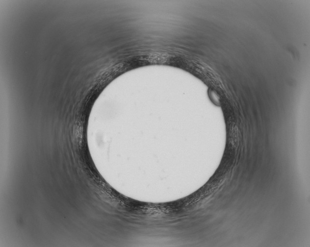 X0000111390697200908211402