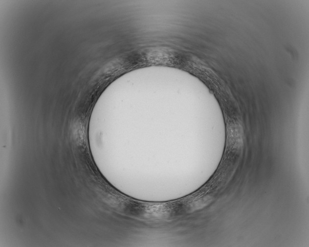 X0000111390705200908211402