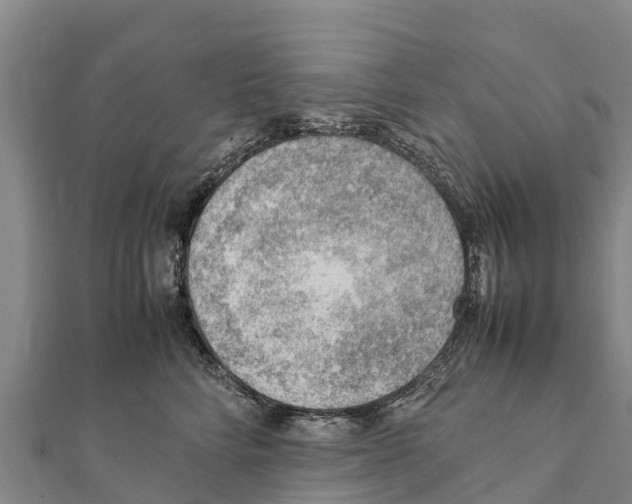 X0000111390712200908211402