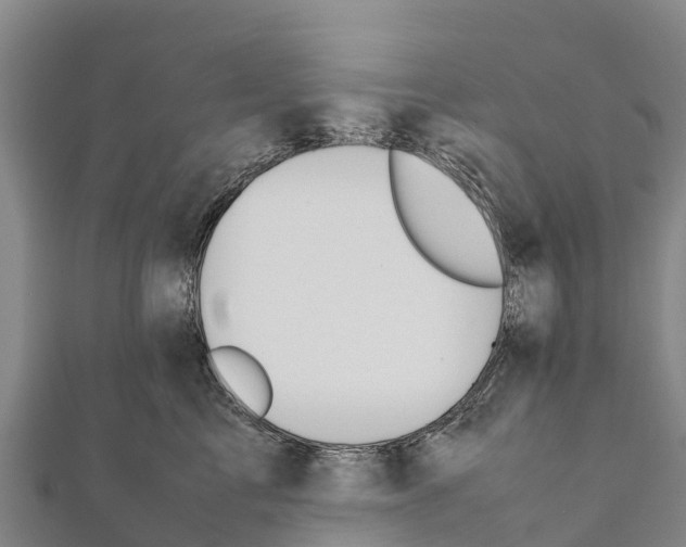 X0000111390713200908211402