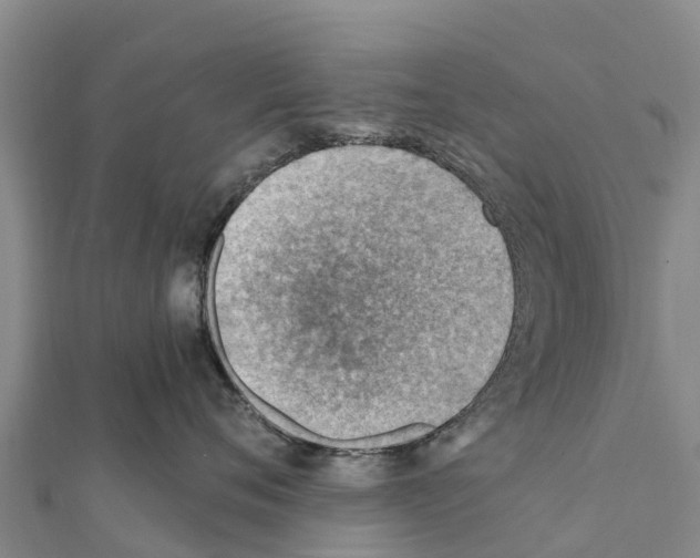 X0000111390720200908211402