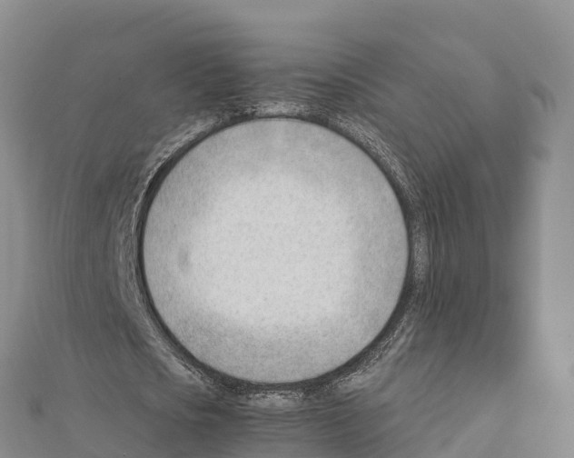 X0000111390721200908211401