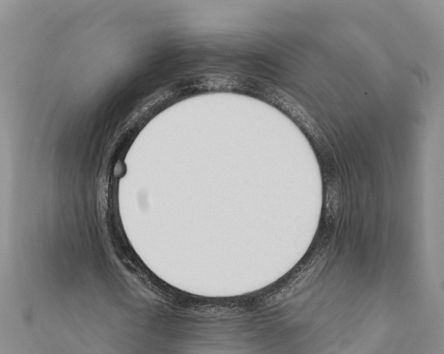X0000111390722200908211401