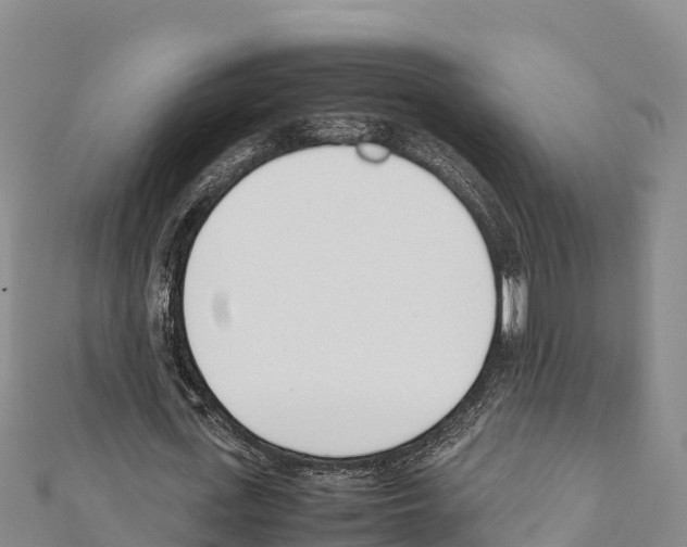 X0000111390723200908211401